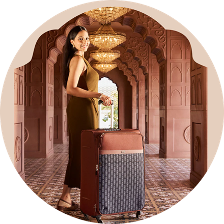 Picture for category Luggages & Trolleys